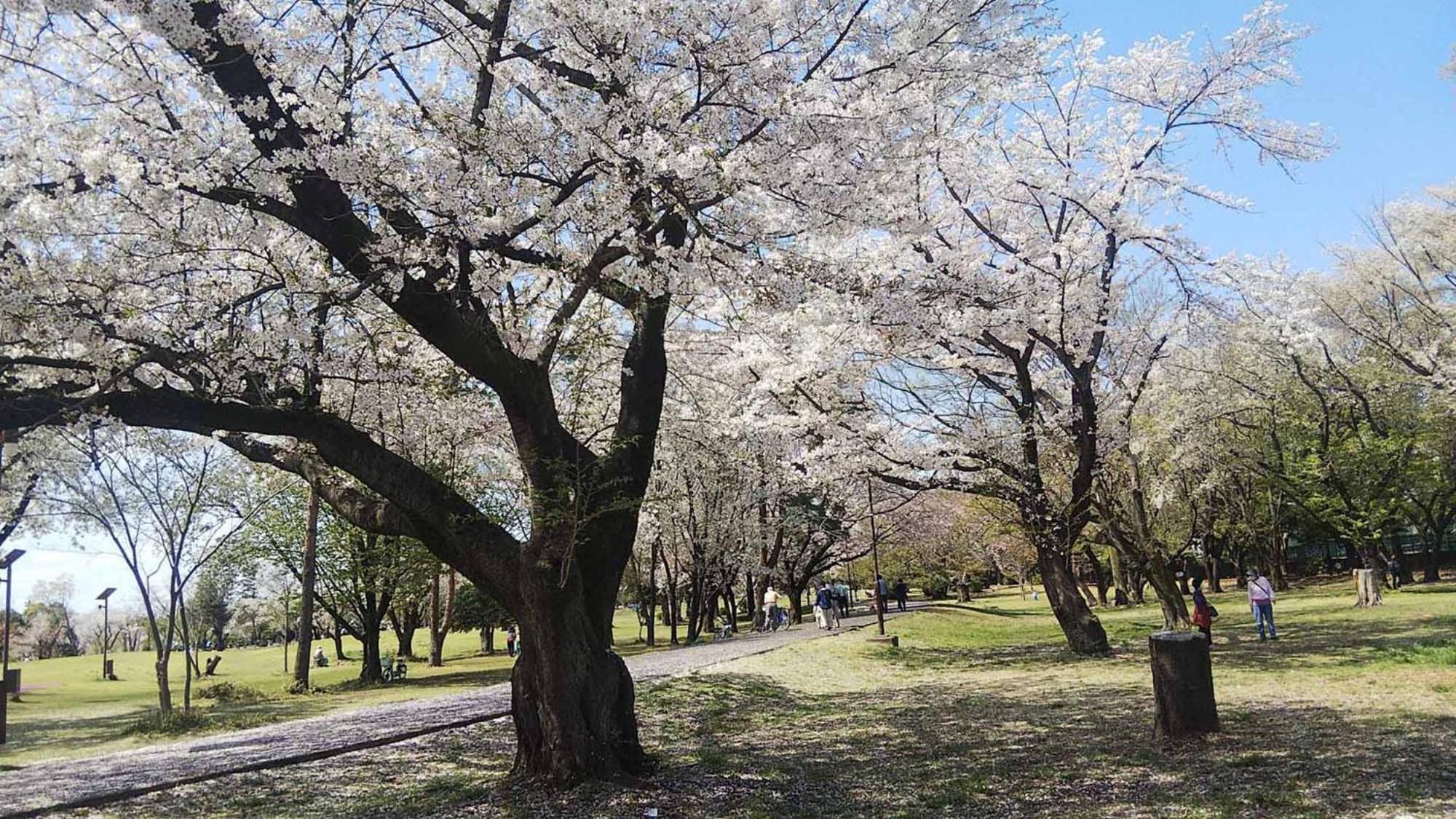 Toyoko Inn Wako-Shi Ekimae Dış mekan fotoğraf